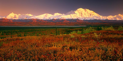 Denali National Park Alaska Denali National Park Alaska