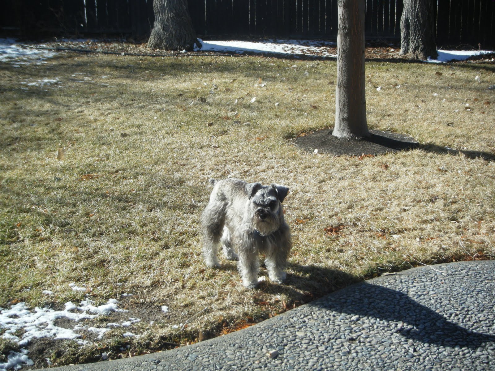 [Baxter2.1.10.JPG]