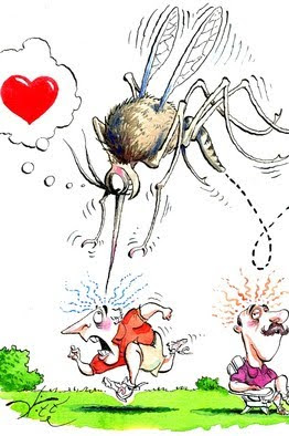 Y mosquitoes heart me