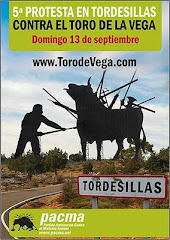 QUE CULPA TIENE EL TORO???