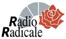 Intervista del Maresciallo Lo Zito Vincenzo a Radio Radicale (clicca su foto)