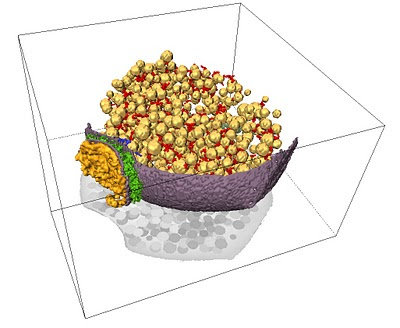 Fernández-Busnadiego et al.