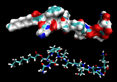 ghrelin- Scripps Research Institute
