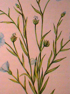 Lino/Flax