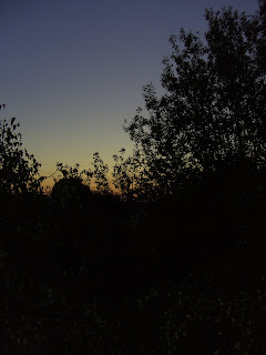 BILD0430.JPG