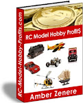 RC Model Hobby Profits