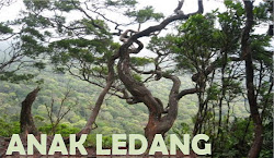 Blog ANAK LEDANG