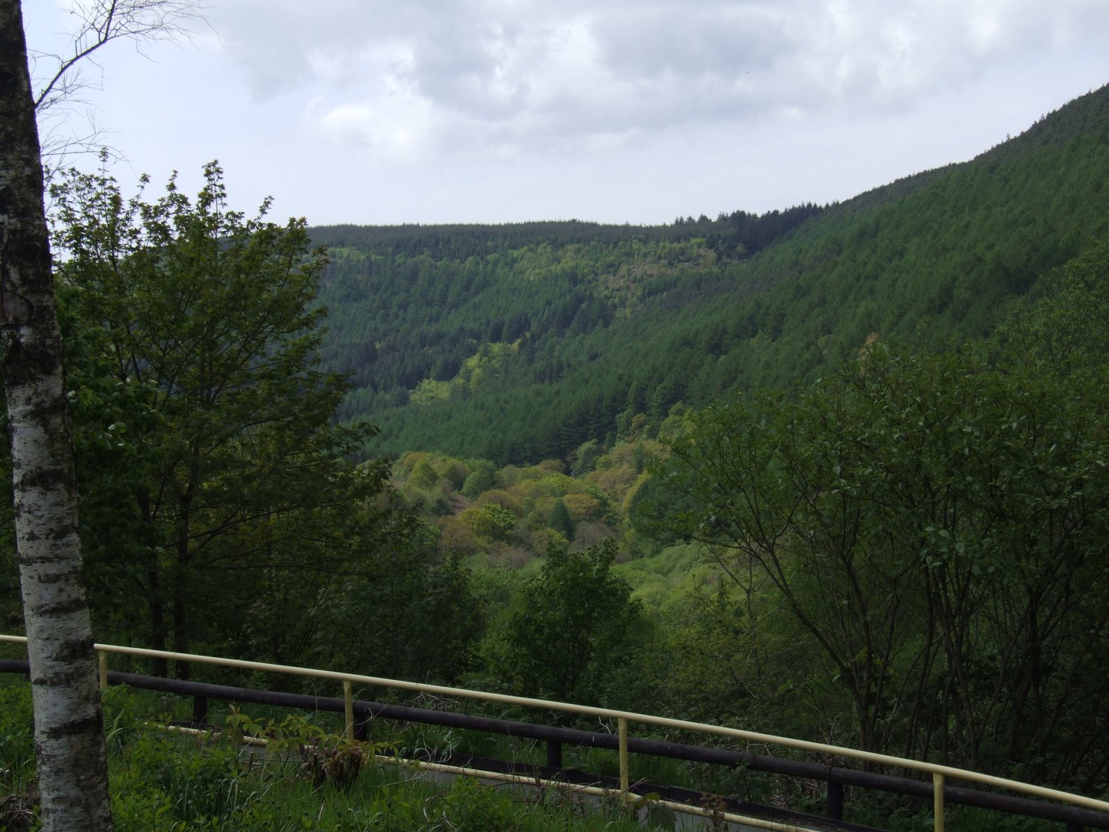 [DSCF2416.JPG]