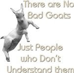 Gambar+kambing+kampung