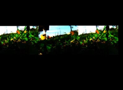 rencontre kuala lumpur