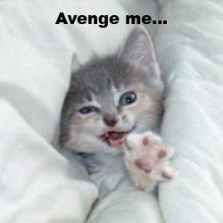 avenge+kitty.jpg