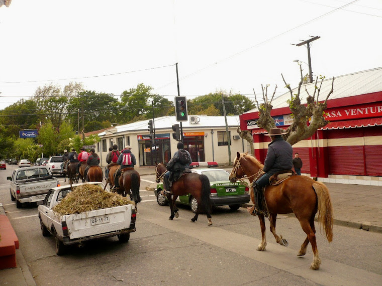 Bulnes, ciudad de las Camelias