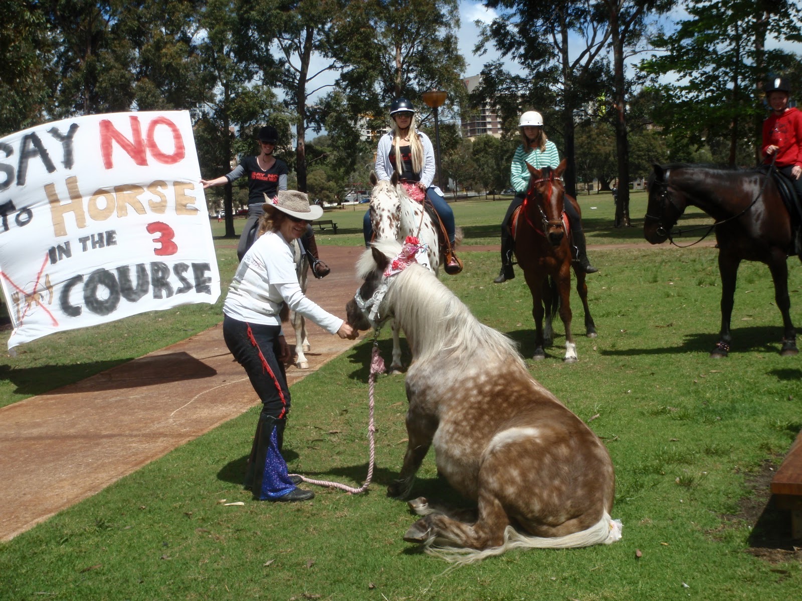 Save a Horse Australia Horse Rescue and Sanctuary "No Horses For