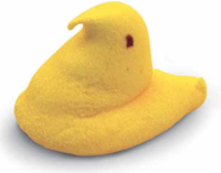 [Picture+3.png]