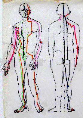 medicine meridians diagram tahiti dreaming diagram chart of the tcm meridians the medicine meridians diagram tahiti dreaming diagram chart of the tcm meridians the