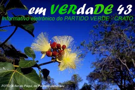 emverdade43