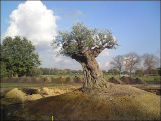 bron:www.wijnhoevedeveluwe.nl
