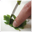www.nsure.nl