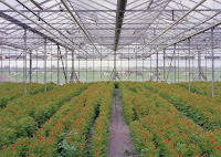bron:foto www.lnv.nl