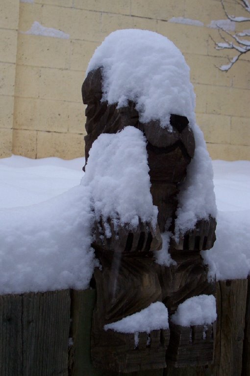 [snowbear.bmp]