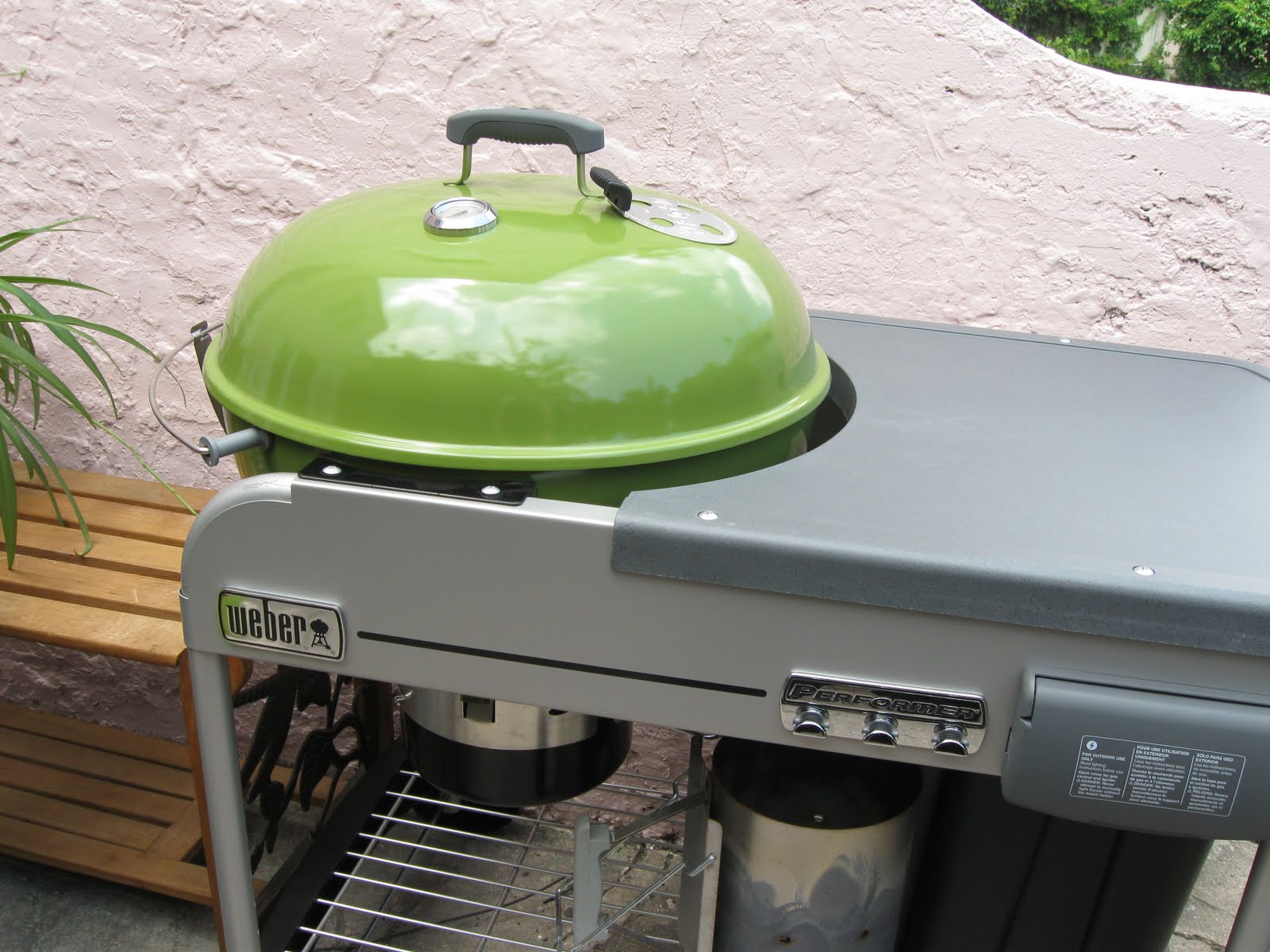 Life in Rehab Grills Gone Wild!