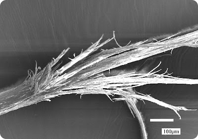 Split Ends Image Detail