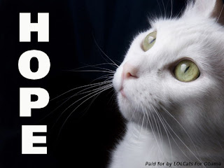 hope cat