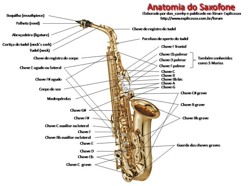 Filarmônica Santo Antônio Anatomia do Saxofone!