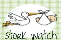 Stork Watch