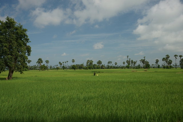 Cambodia Scenery