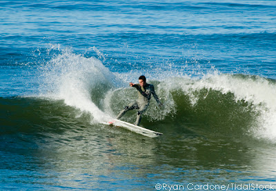 Mike McCabe