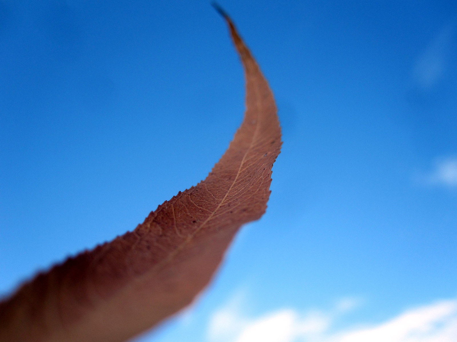 [IMG_3833.JPG]