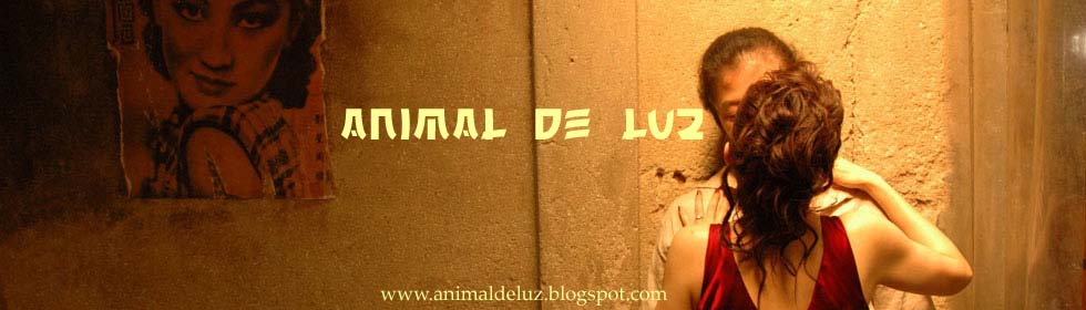 ANIMAL DE LUZ