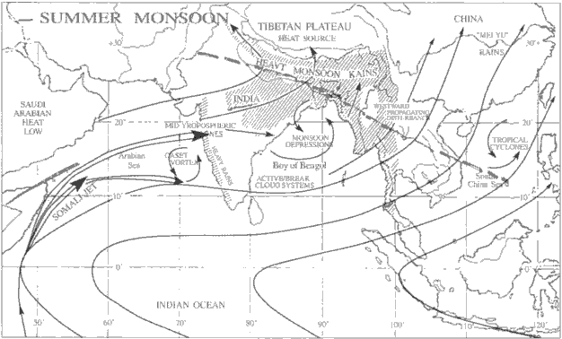 hairstyles for dogs hairstyles for dogs