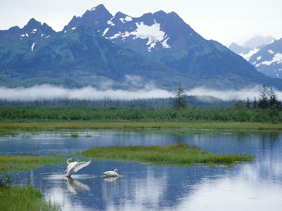 +of+nature+wallpapers beautiful nature wallpaper. +of+nature+wallpapers