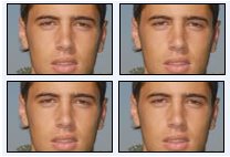 [36.diogo2.bmp]