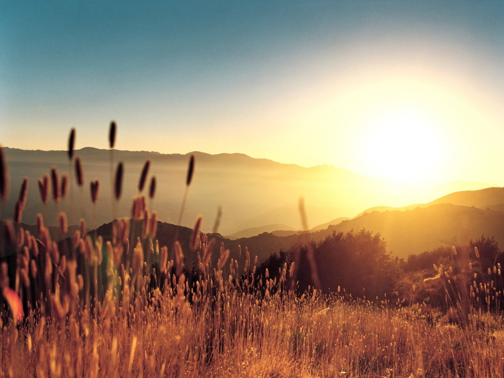 http://4.bp.blogspot.com/_Ym3du2sG3R4/S6pBhJtvpHI/AAAAAAAABwE/wC6EjbDeL9c/s1600/Sun-and-golden-Field_wallpaper.jpg