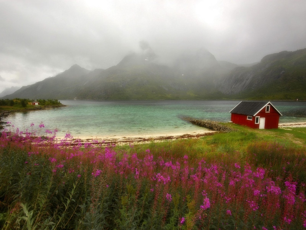 wallpaper-best-size: Flowers And Lake wallpaper