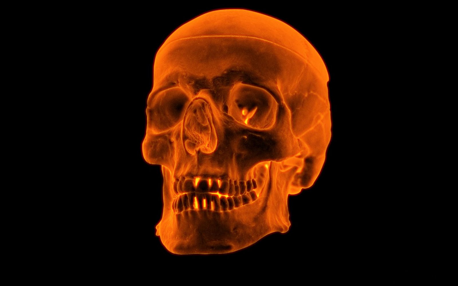 http://4.bp.blogspot.com/_Ym3du2sG3R4/TFyCWyvyPZI/AAAAAAAACuE/v4Kna5FftDg/s1600/3D-Fire-Skull+(1).jpg