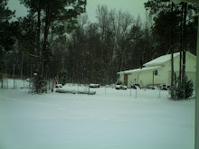 snow day 2009