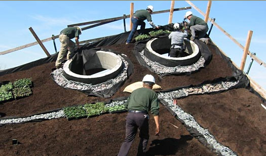 [192218040_8be8da074f_o.jpg]