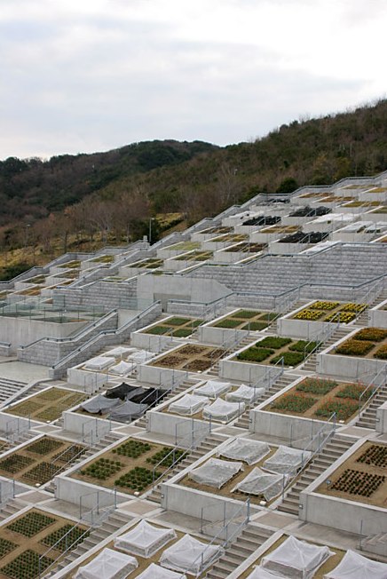 [0503091236281922skitched20090305113341.jpg]