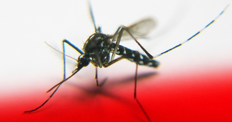 [Malaria_Computer_Model_Landscape.jpg]