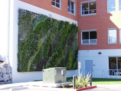 Goodwill-Millgard vegetal wall