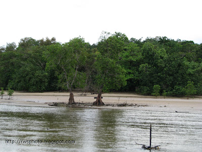 siar beach resort lundu
