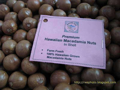 Macadamia Integrifolia Nuts Malaysia