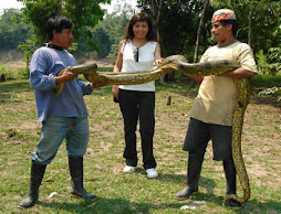 BOA ES LA SERPIENTE MAS GRANDE EN LA SELVA, MAS CONOCIDO COMO "ANACONDA"