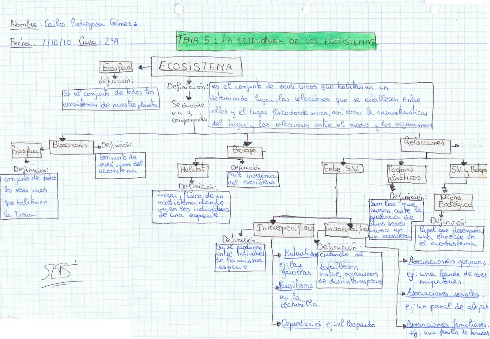HACE ESQUEMA hace esquema: