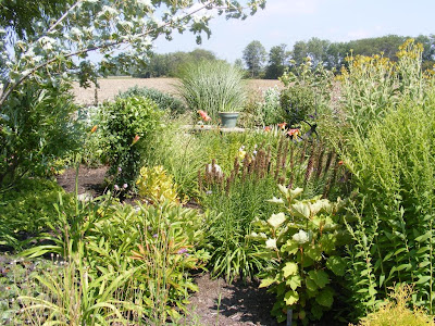 Kylee of Our Little Acre's Garden in August