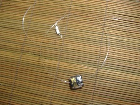 [DSCF3784.JPG]
